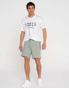 Jack & Jones Erkek Fermuar Detaylı Sweat Şort - Air -Iceberg Green - 12186750