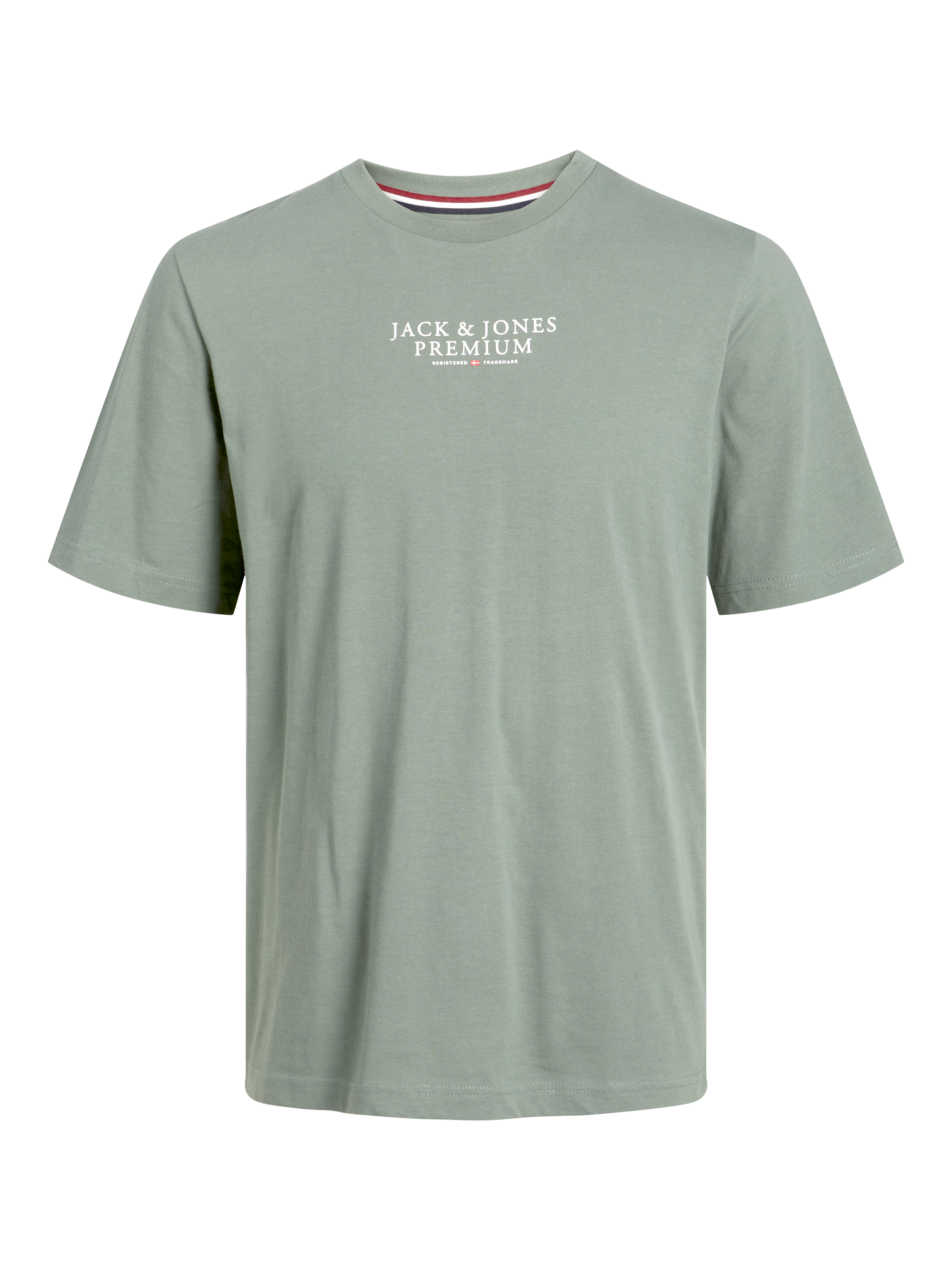 Erkek Bisiklet Yaka Logo Baskili Tişört - Bluarchıe