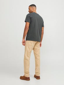 Jack & Jones Erkek RDD Logolu Tişört -Peat - 12218240