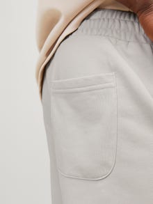 Jack & Jones Erkek Logo Baskılı Sweat Şort - Kane -Moonbeam - 12252251