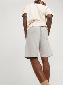Jack & Jones Erkek Logo Baskılı Sweat Şort - Kane -Moonbeam - 12252251