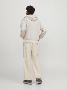 Jack & Jones Erkek Kapüşonlu Bomber Ceket - Track -Moonbeam - 12252910