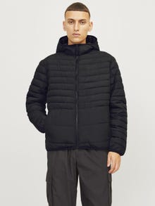 Jack & Jones Kapüşon Elastik bağlamalı manşetler Kapitone ceket -Black - 12256983