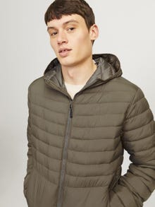 Jack & Jones Kapüşon Elastik bağlamalı manşetler Kapitone ceket -Canteen - 12256983
