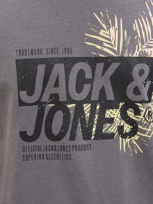 Jack & Jones Erkek Bisiklet Yaka Baskılı Tişört - Jaxon -Castlerock - 12269390