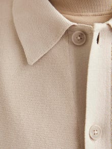 Jack & Jones Rahat Kalıp Polo Düşük omuzlar Örgü Hırka -Silver Lining - 12271403