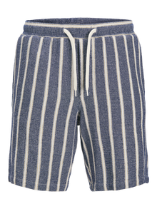 Jack & Jones Erkek Çizgili Jogger Şort - Aıden -Ocean Cavern - 12274413