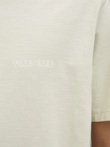 Jack & Jones Erkek Göğüs ve Sırt Baskılı Tişört - Canggu -Celadon Tint - 12276819