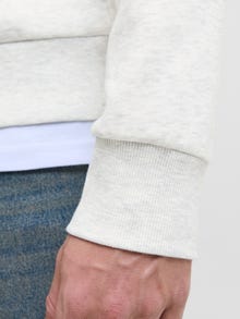 Jack & Jones Erkek Logo Baskılı Kapüşonlu Sweatshırt - Pan -White Melange - 12278618
