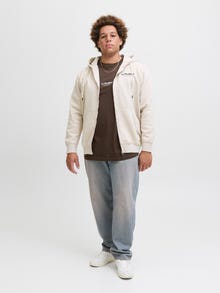 Jack & Jones Büyük Beden Bisiklet Yaka Tişört - Soho -Delicioso - 12279591