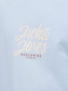 Jack & Jones Normal Kalıp Bisiklet Yaka Tişört -Skyway - 12281810
