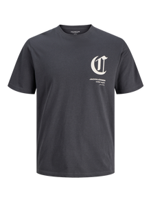 Jack & Jones Erkek Bisiklet Yaka Baskılı Tişört - Versıon -Asphalt - 12286117