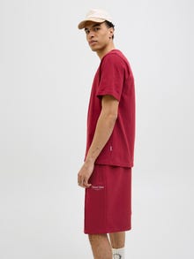 Jack & Jones Erkek Kısa Kollu Baskılı Tişört - Dıa -Tibetan Red - 12286609
