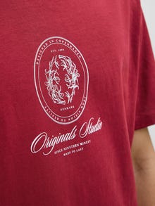Jack & Jones Erkek Kısa Kollu Baskılı Tişört - Dıa -Tibetan Red - 12286609